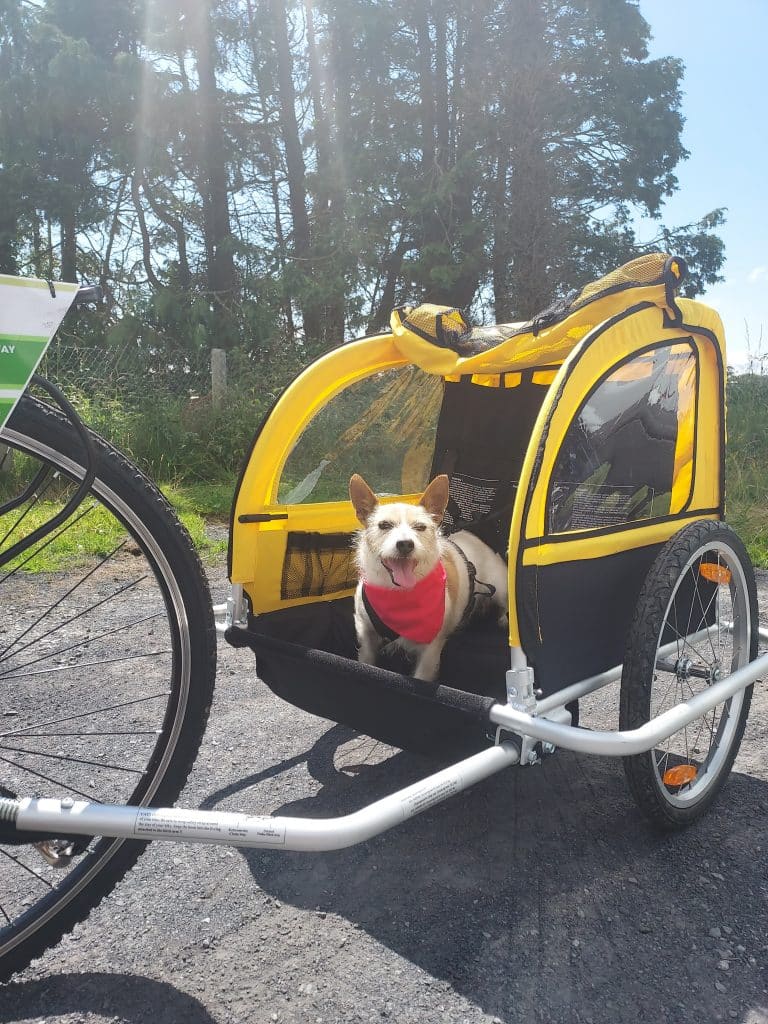 Bike Pet Trailer